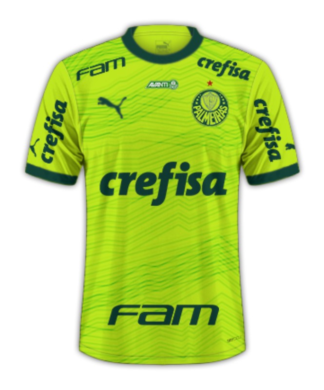 Palmeiras Third Jersey 2023/2024